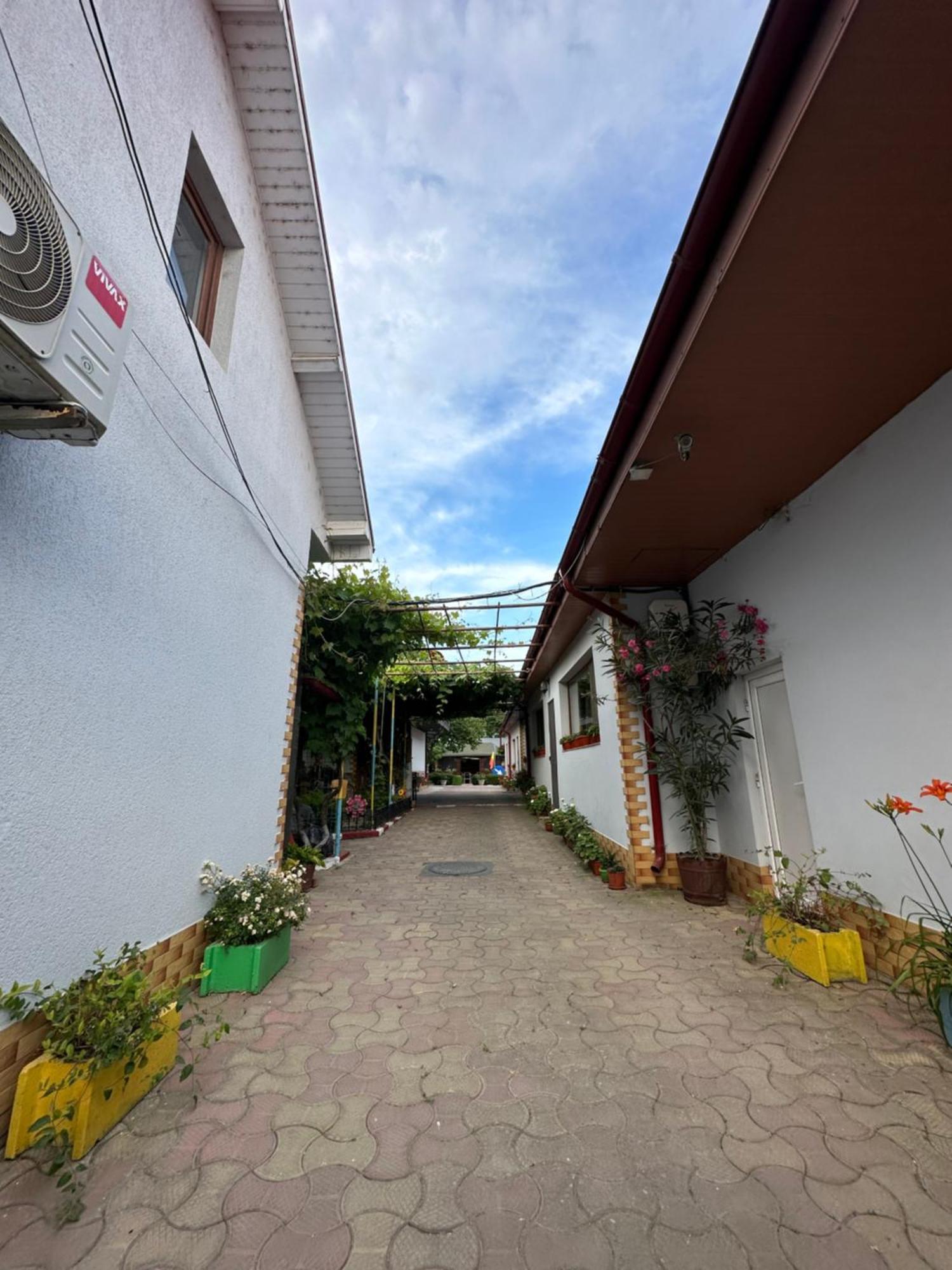 Casa Cu Flori Corbu Hotel Корбу Екстериор снимка